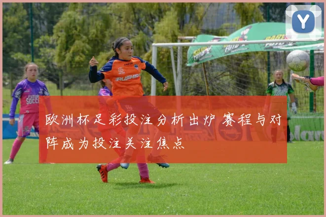 欧洲杯足彩投注分析出炉 赛程与对阵成为投注关注焦点